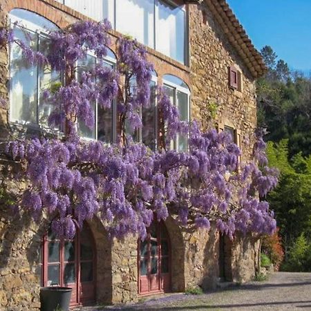Chambre D'Hote Mas D'Alzon A St Jean Du Pin La Barriére Dış mekan fotoğraf